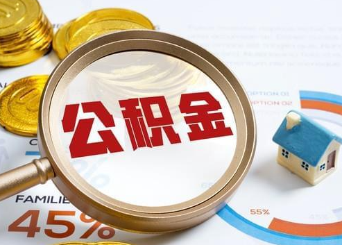 漯河2025年政策调整对个人影响综合解析